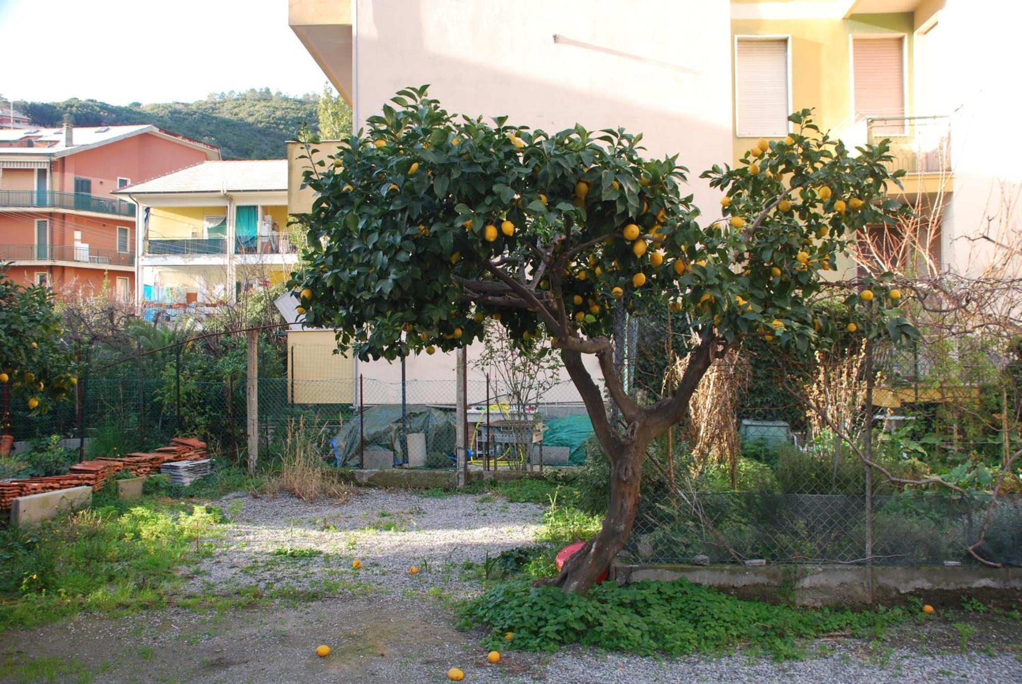 Tinetto Brezza Di Mare Apartment Deiva Marina Exterior photo